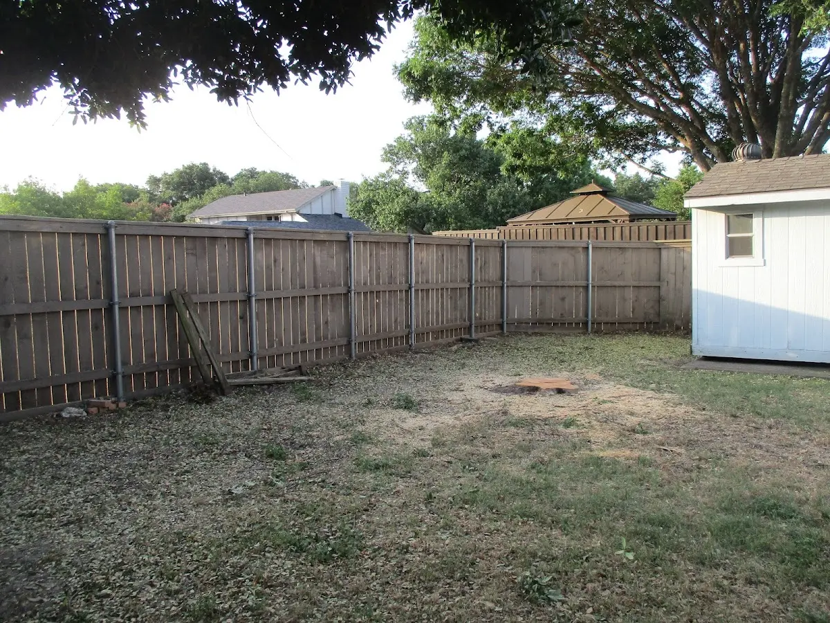 Cleared yard after professional tree removal in Poplar